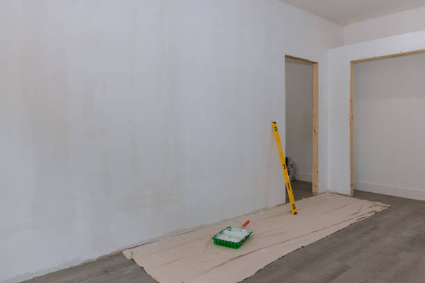 Best Fire-Damaged Drywall Repair  in South Chicago Heights, IL